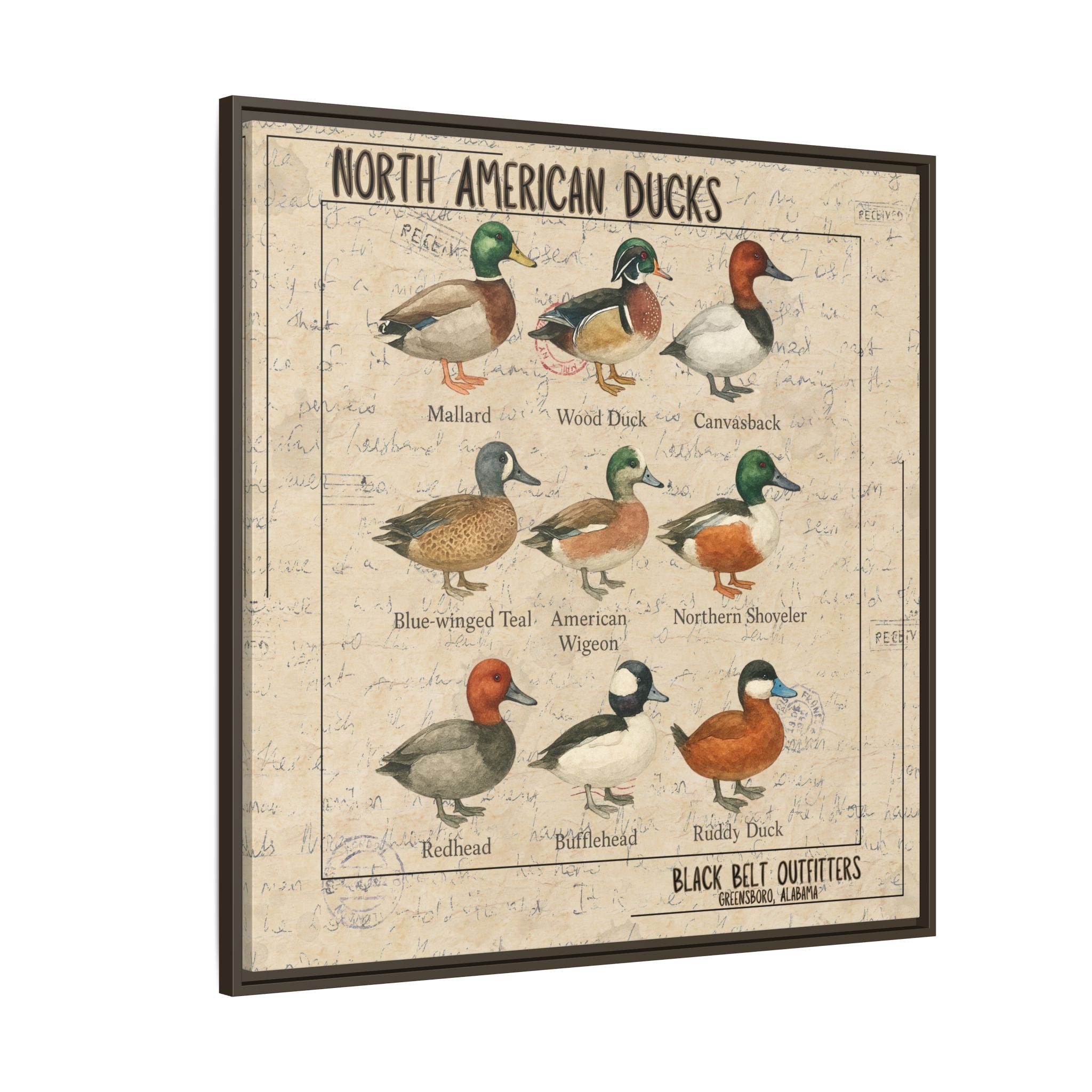 Vintage Duck Art Canvas Print, Framed Wall Decor, Nature Lover Gift, Farmhouse Decor, Rustic Home Art, Cabin Wall Decor
