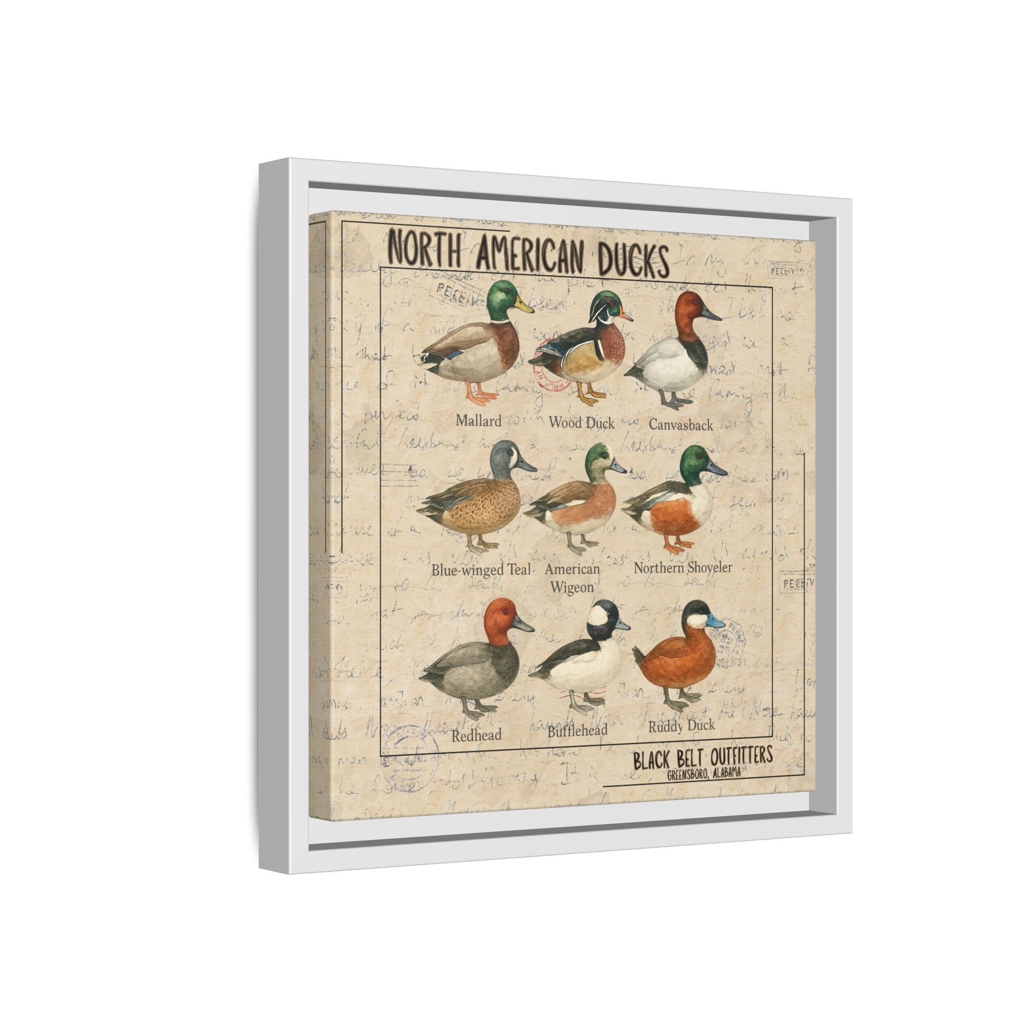 Vintage Duck Art Canvas Print, Framed Wall Decor, Nature Lover Gift, Farmhouse Decor, Rustic Home Art, Cabin Wall Decor