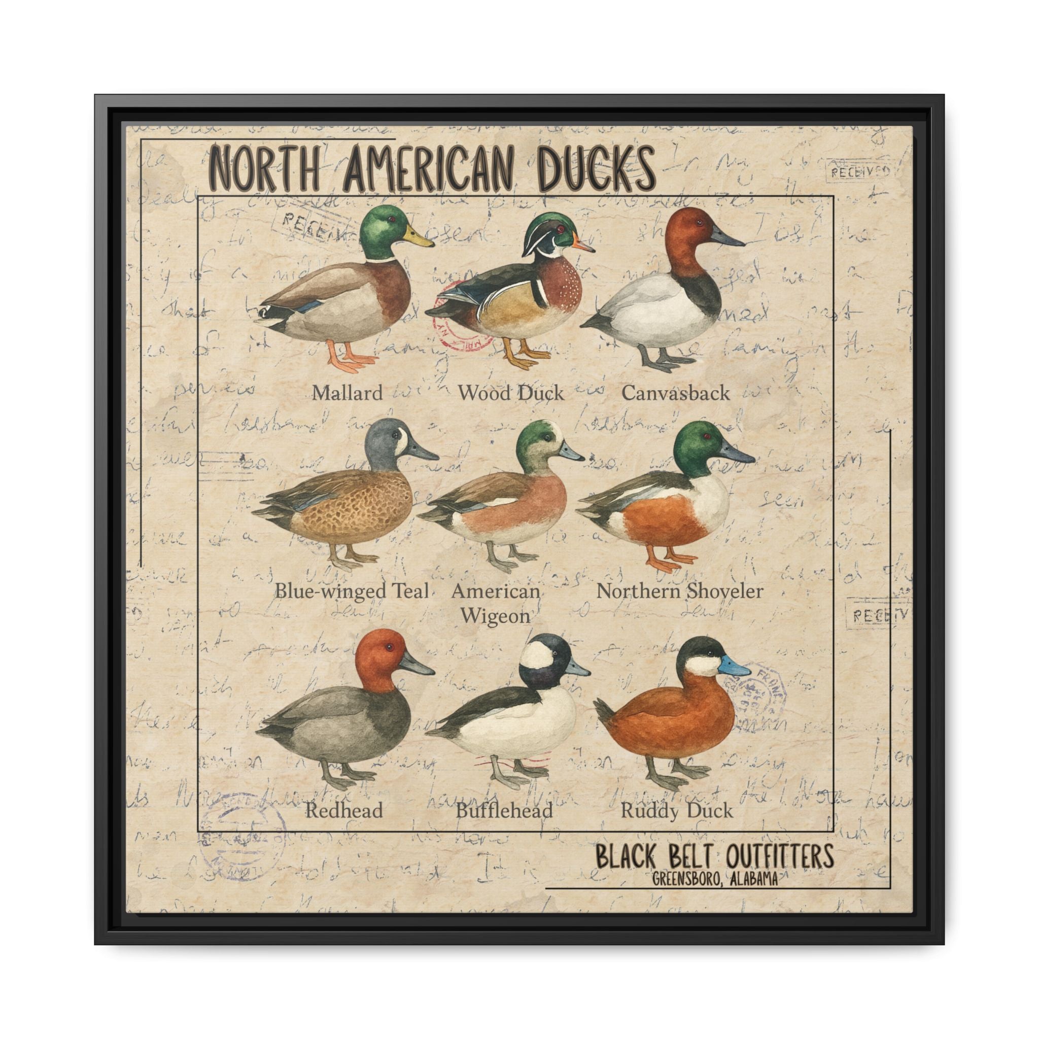 Vintage Duck Art Canvas Print, Framed Wall Decor, Nature Lover Gift, Farmhouse Decor, Rustic Home Art, Cabin Wall Decor