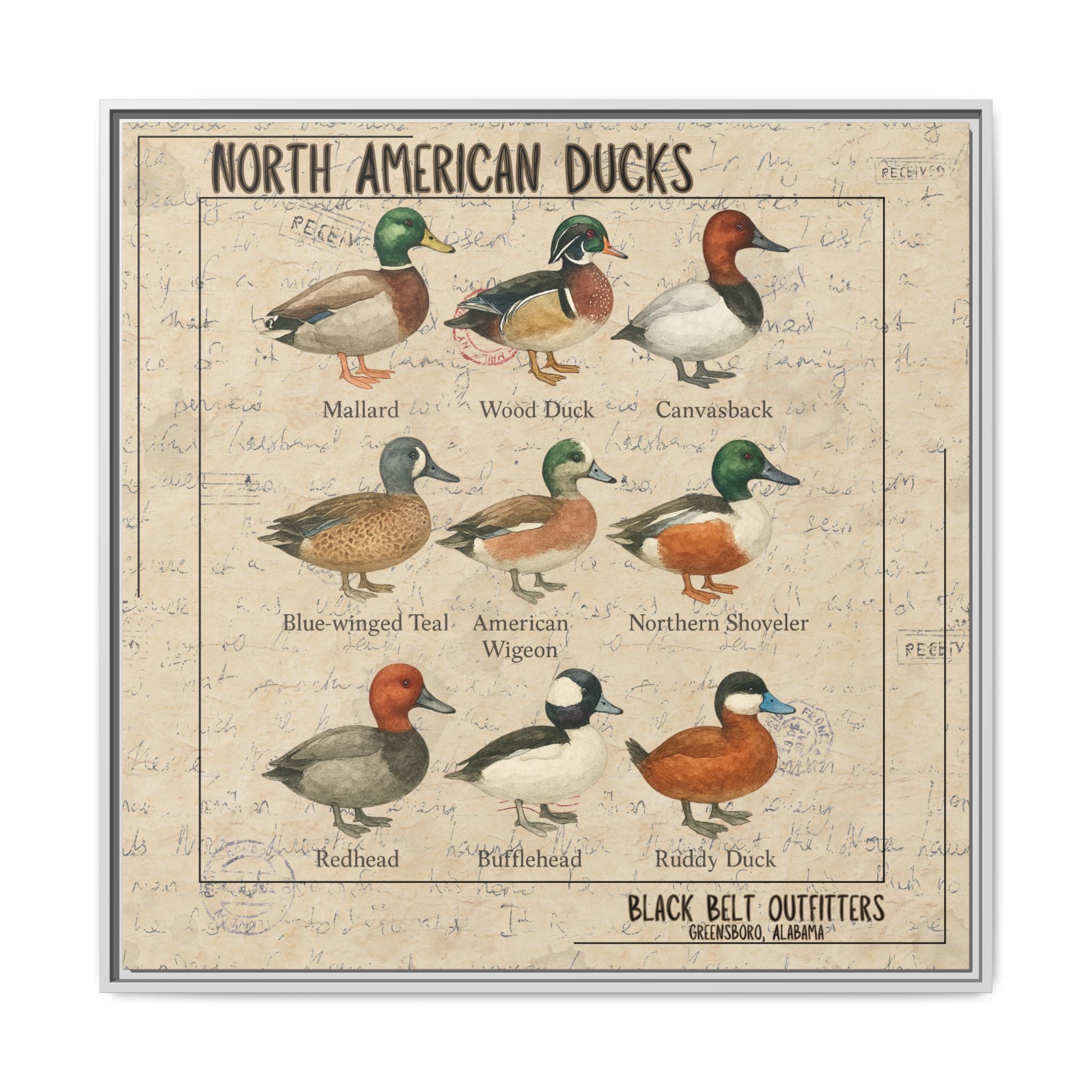 Vintage Duck Art Canvas Print, Framed Wall Decor, Nature Lover Gift, Farmhouse Decor, Rustic Home Art, Cabin Wall Decor