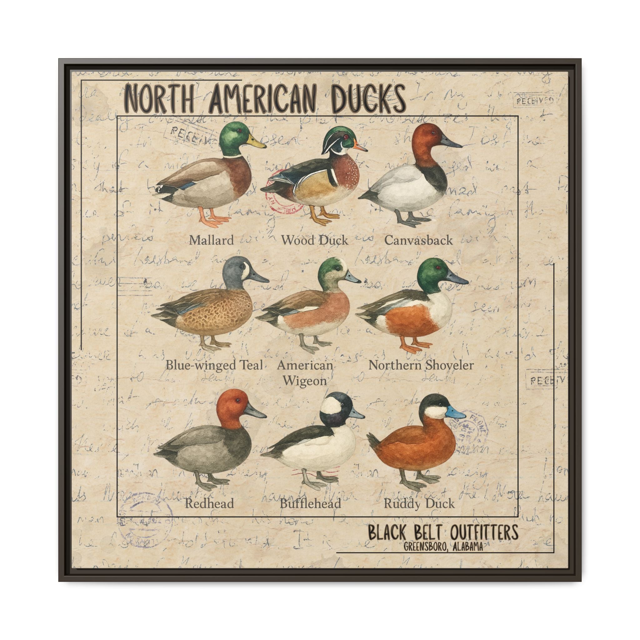 Vintage Duck Art Canvas Print, Framed Wall Decor, Nature Lover Gift, Farmhouse Decor, Rustic Home Art, Cabin Wall Decor