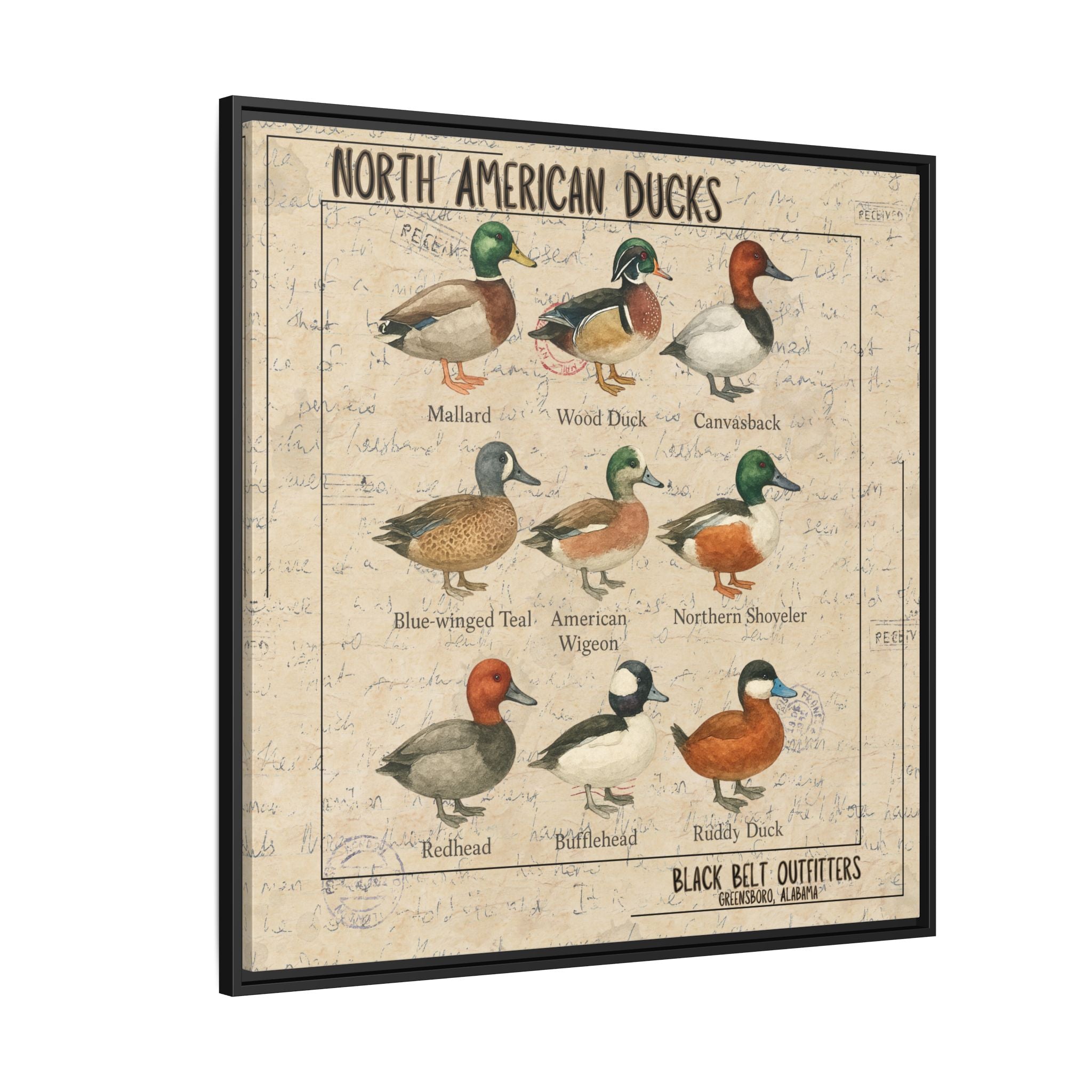 Vintage Duck Art Canvas Print, Framed Wall Decor, Nature Lover Gift, Farmhouse Decor, Rustic Home Art, Cabin Wall Decor