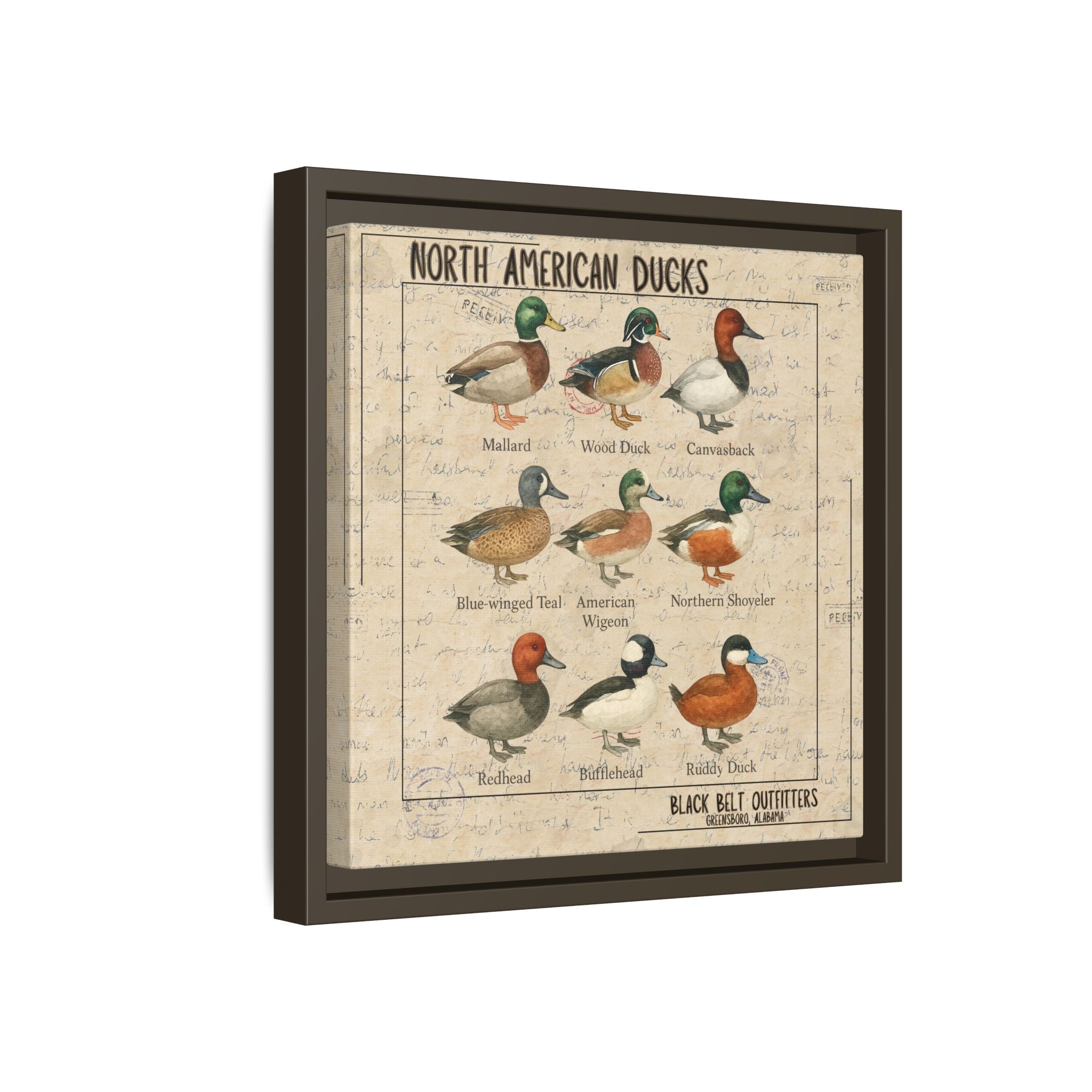 Vintage Duck Art Canvas Print, Framed Wall Decor, Nature Lover Gift, Farmhouse Decor, Rustic Home Art, Cabin Wall Decor