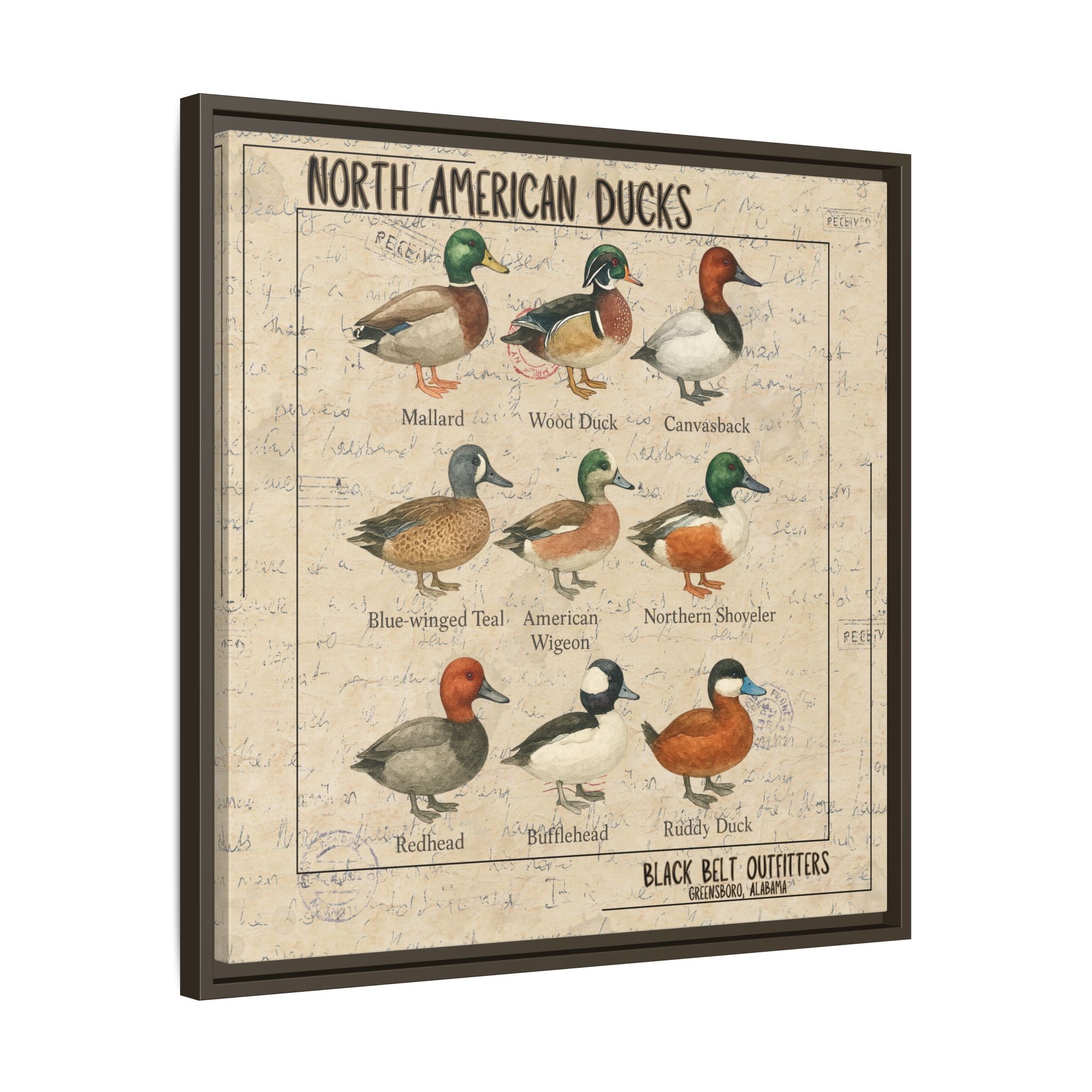 Vintage Duck Art Canvas Print, Framed Wall Decor, Nature Lover Gift, Farmhouse Decor, Rustic Home Art, Cabin Wall Decor