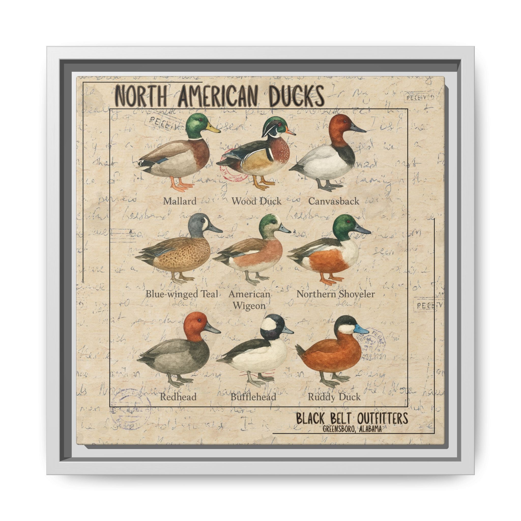 Vintage Duck Art Canvas Print, Framed Wall Decor, Nature Lover Gift, Farmhouse Decor, Rustic Home Art, Cabin Wall Decor