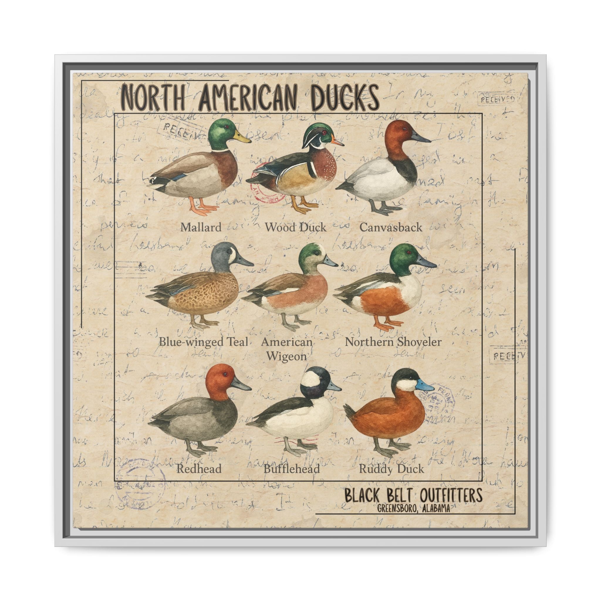 Vintage Duck Art Canvas Print, Framed Wall Decor, Nature Lover Gift, Farmhouse Decor, Rustic Home Art, Cabin Wall Decor