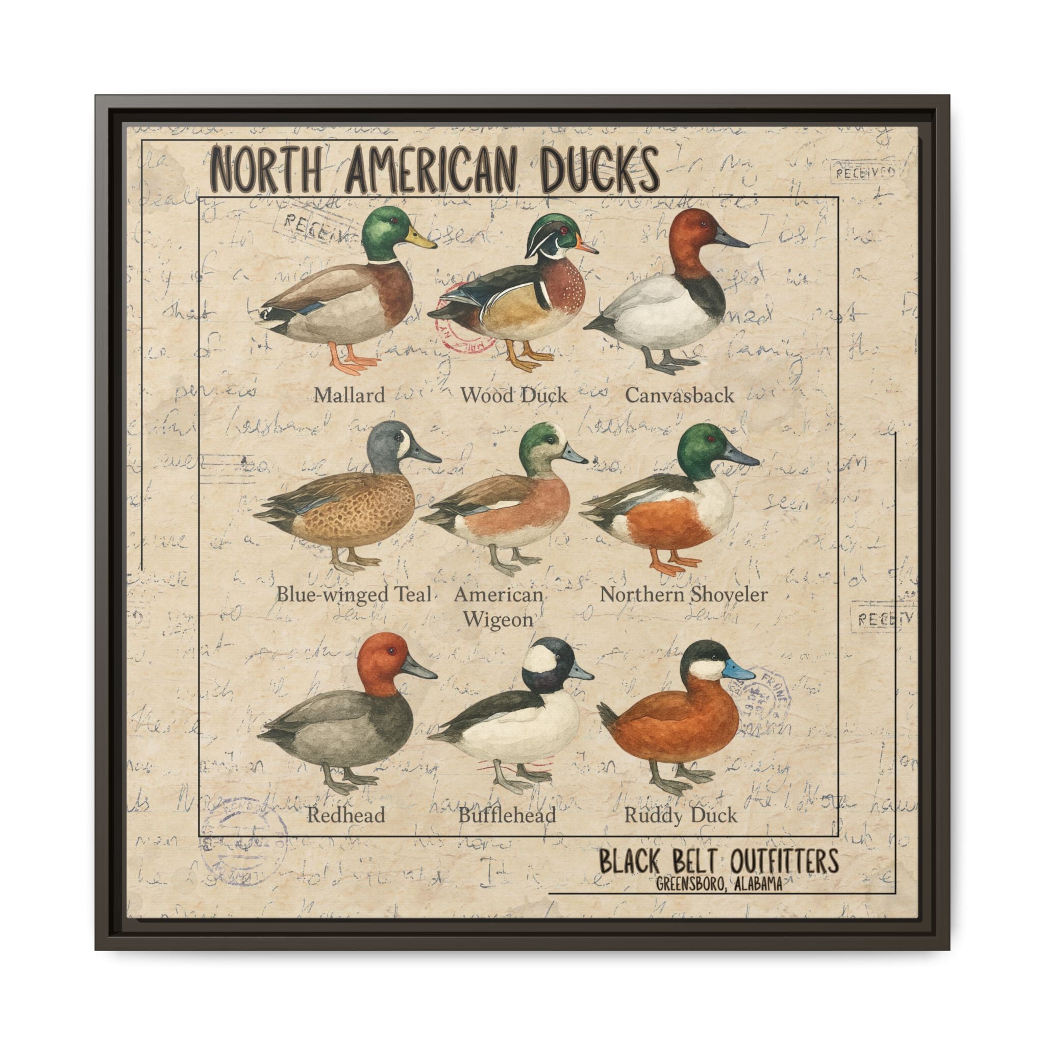 Vintage Duck Art Canvas Print, Framed Wall Decor, Nature Lover Gift, Farmhouse Decor, Rustic Home Art, Cabin Wall Decor