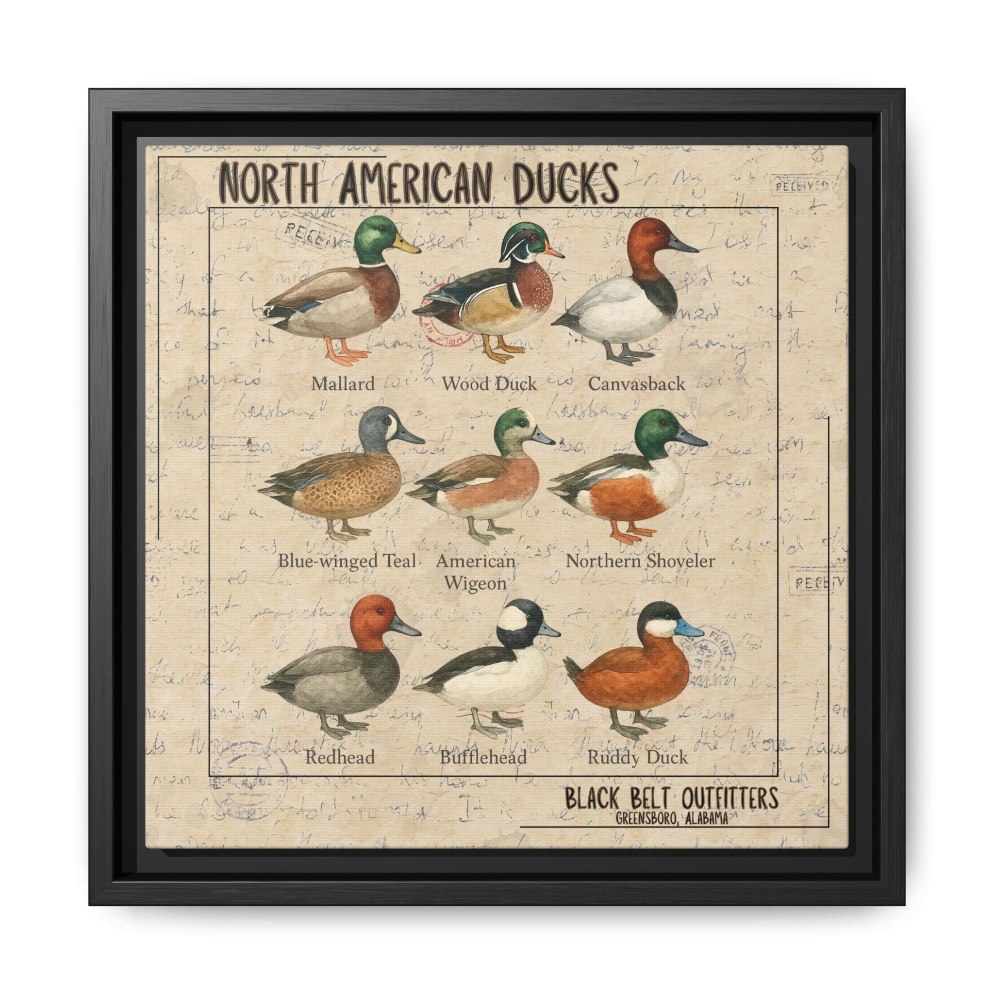 Vintage Duck Art Canvas Print, Framed Wall Decor, Nature Lover Gift, Farmhouse Decor, Rustic Home Art, Cabin Wall Decor