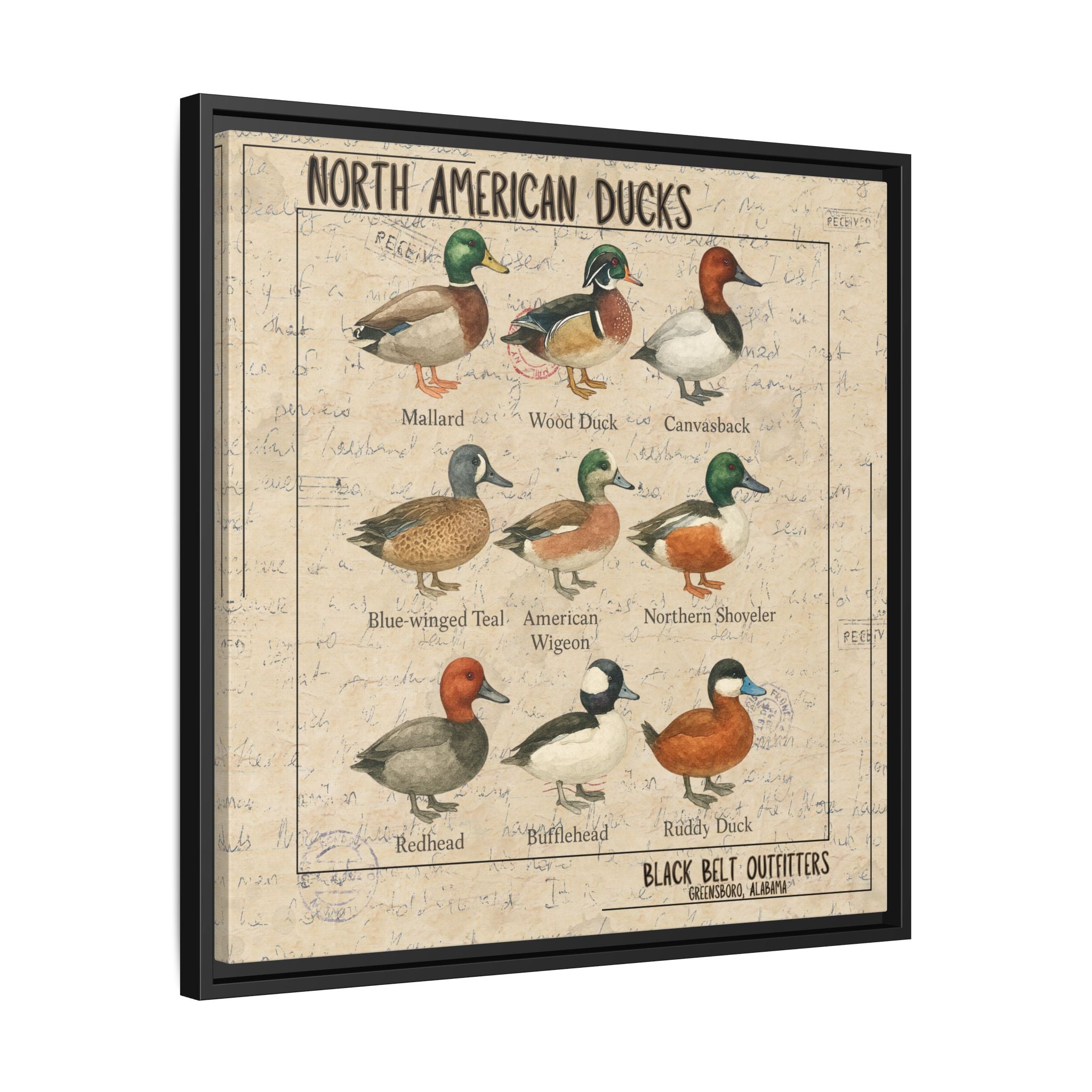 Vintage Duck Art Canvas Print, Framed Wall Decor, Nature Lover Gift, Farmhouse Decor, Rustic Home Art, Cabin Wall Decor