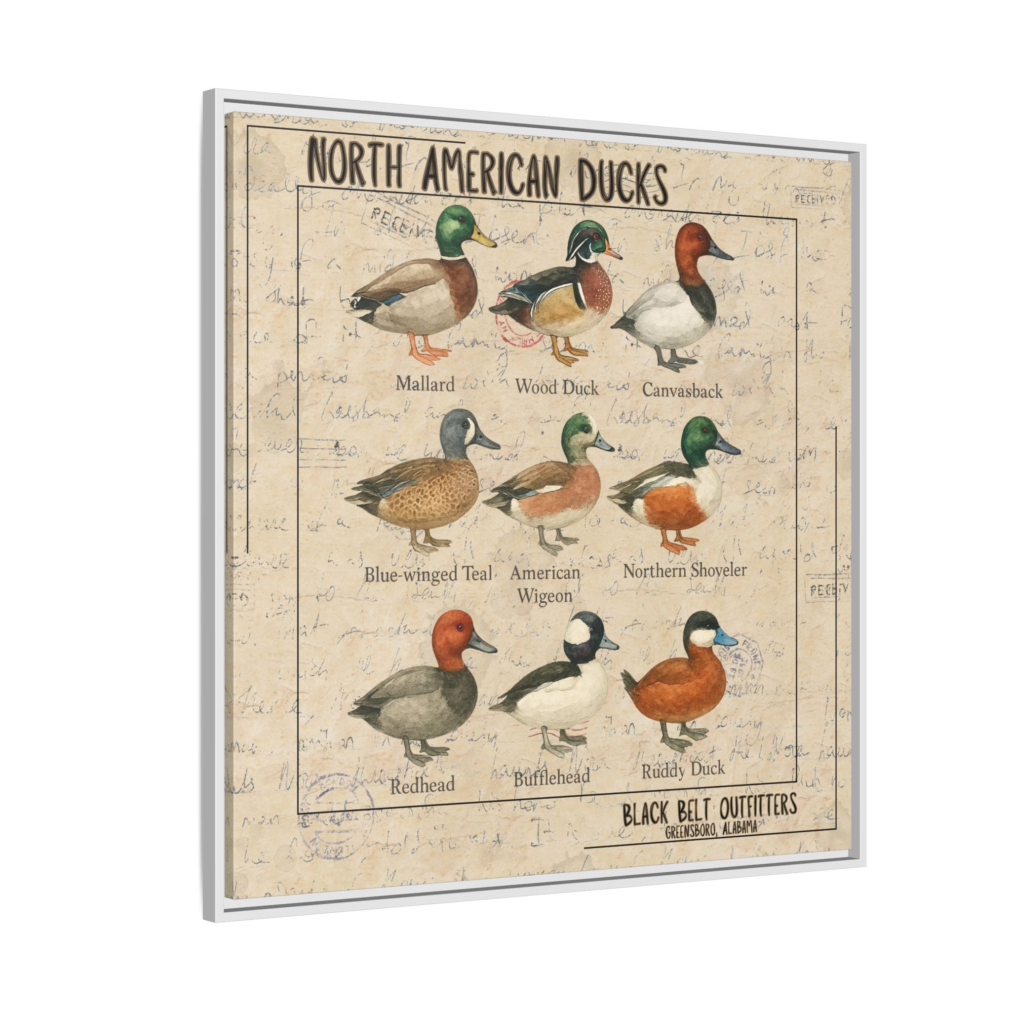Vintage Duck Art Canvas Print, Framed Wall Decor, Nature Lover Gift, Farmhouse Decor, Rustic Home Art, Cabin Wall Decor