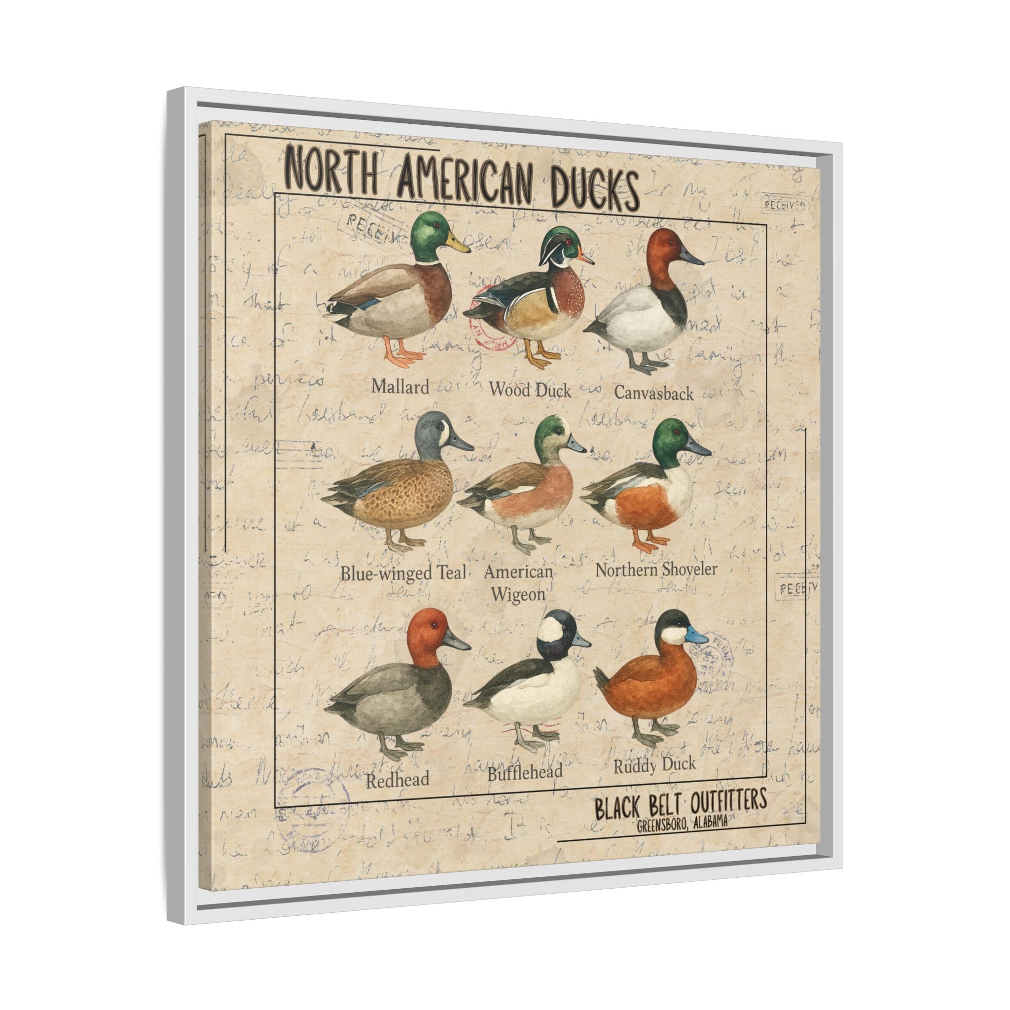 Vintage Duck Art Canvas Print, Framed Wall Decor, Nature Lover Gift, Farmhouse Decor, Rustic Home Art, Cabin Wall Decor