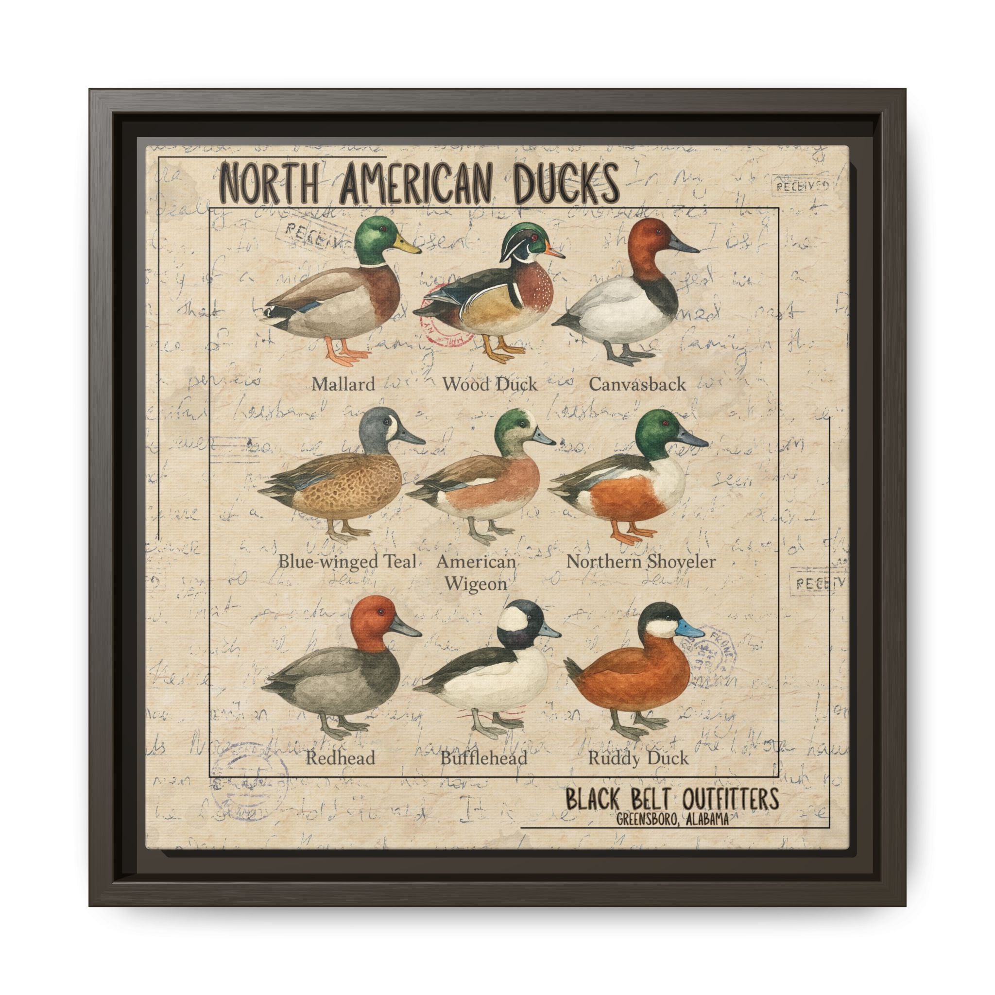Vintage Duck Art Canvas Print, Framed Wall Decor, Nature Lover Gift, Farmhouse Decor, Rustic Home Art, Cabin Wall Decor